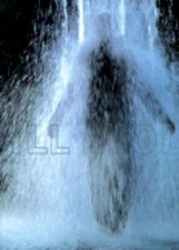 Bill viola david for sale  Sparks