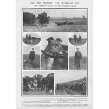 Coursing waterloo cup for sale  GLASGOW