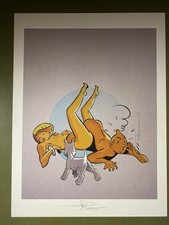 Illustration grand format d'occasion  Langeais