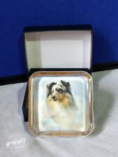 Shetland sheep dog for sale  UK