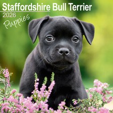 Filhotes Staffordshire Bull Terrier 2026 calendário presente filhote 15% OFF VÁRIOS PEDIDOS comprar usado  Enviando para Brazil