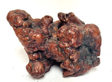 Unknown wood burl for sale  Springfield