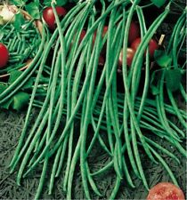 Lot graines haricot d'occasion  Chazelles