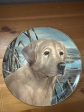 Franklin mint decorative for sale  LAURENCEKIRK