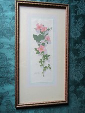 Wild rose print for sale  Flagstaff