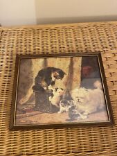 Henriette ronner knip for sale  TROWBRIDGE