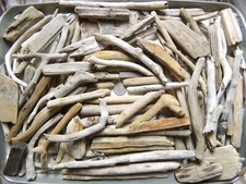 100 driftwood pieces for sale  GRAVESEND