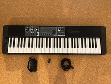 Casio casiotone s500 gebraucht kaufen  Worms