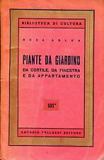 Rosa adler piante usato  Genova