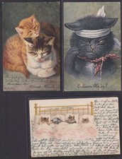 Ansichtskarten katzen tolles gebraucht kaufen  Hattingen