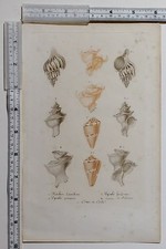 lamelleuse d'occasion  Expédié en Belgium