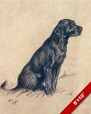 Black labrador pet for sale  South Jordan