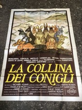 Collina dei conigli usato  Racconigi