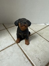 Living stone rottweiler for sale  Camden