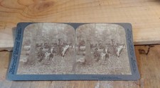 Ancienne plaque photo d'occasion  Saint-Symphorien