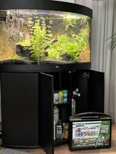 Juwel trigon 190 gebraucht kaufen  Ebsdorfergrund