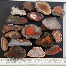 malawi gebraucht kaufen malawi gebraucht kaufen Kamenz