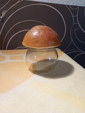 Pilz glas zum gebraucht kaufen  Herborn