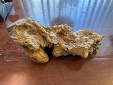 Vintage burl wood for sale  Rohnert Park