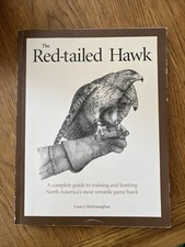 Red tailed hawk for sale  RAMSGATE