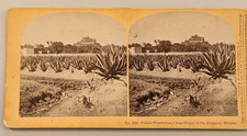 Pulque plantation mexico for sale  Marlborough