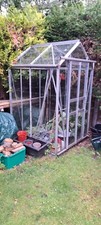 6ft x 4ft greenhouse for sale 6ft x 4ft greenhouse for sale ALTRINCHAM