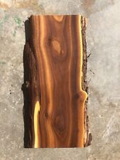 Russian olive live for sale  Worland