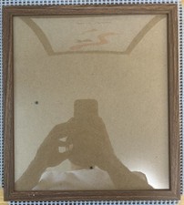 Japanese shikishi autograph for sale  Levittown