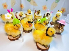 Product title cute for sale  PORTHCAWL