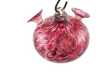 Bird brain charisma for sale  Jaffrey