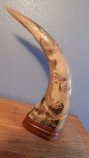 Wasserbüffelhorn gebraucht kaufen  Oberursel (Taunus)