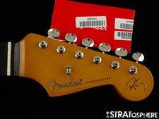 Fender robert cray for sale  Exeter