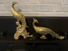 Syroko golden pheasants for sale  Sallisaw