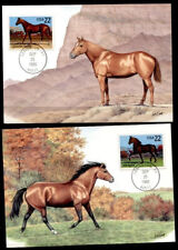 Pferde quarter horse gebraucht kaufen  Düsseldorf