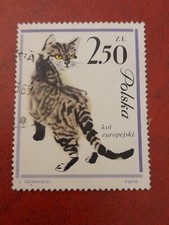 1964 polonia polska usato  Nichelino