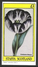 Staffa scotland 1982 for sale  SLEAFORD