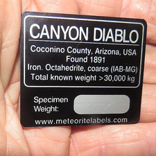 Canyon diablo meteorite for sale  Malone