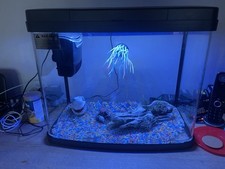 Fish tank sale for sale  BIRMINGHAM