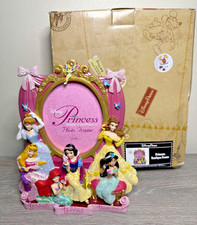 Disney parks princess for sale  Tavernier