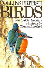 British birds gooders for sale  UK