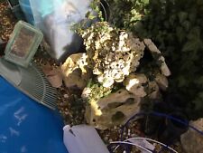 Grade aquarium rock for sale  WELLINGBOROUGH