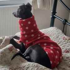 Fleece whippet italian for sale  HOLYWELL