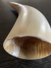 Trinkhorn methorn echtem gebraucht kaufen  Großrosseln