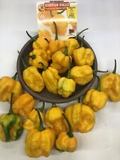 Peperoncini hot pepper usato  Dolo