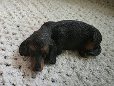 Black dachshund sleeping for sale  COLNE