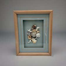 Framed seashell turtle for sale  Maineville