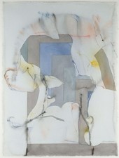 Werner berges großes gebraucht kaufen  Gifhorn