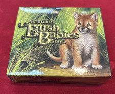 bush babies for sale bush babies for sale Ruther Glen