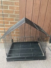 Parrot cockatiel parakeet for sale  Missoula