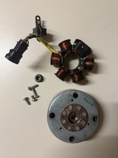 Riginale piaggio lichtmaschine gebraucht kaufen  Oberhausen-Rheinhausen